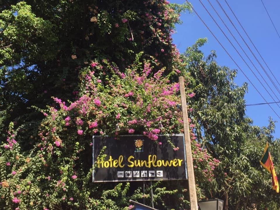 Hotel Sunflower Kataragama Exteriör bild